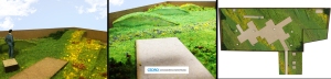 CEDRO_BDL_green roof